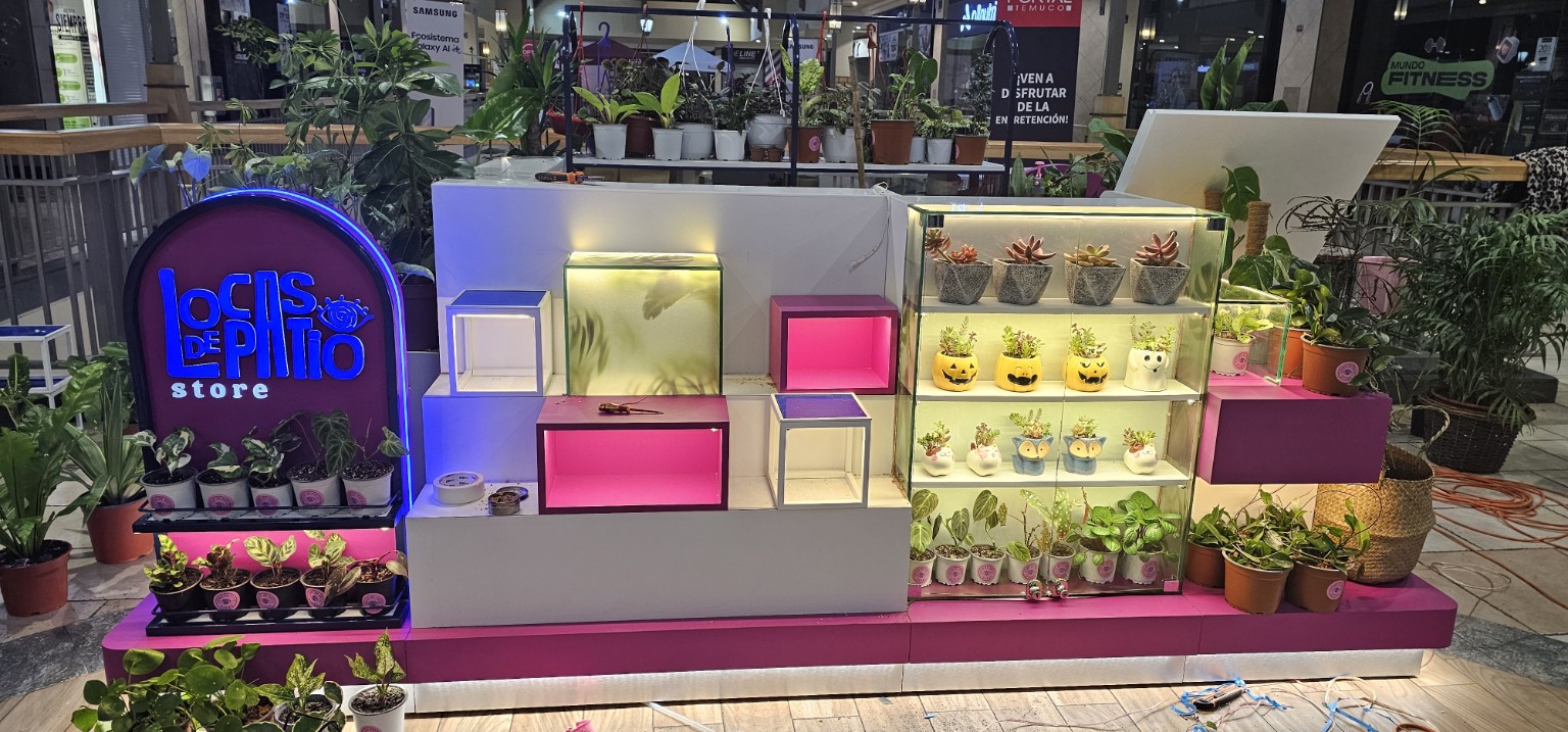 Iluminación y alimentación eléctrica en local comercial de Portal Temuco